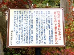 峠の茶屋白滝ドライブイン