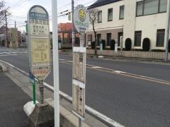 「市役所前」バス停留所