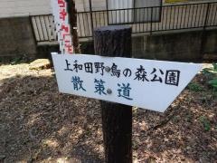 上和田野鳥の森