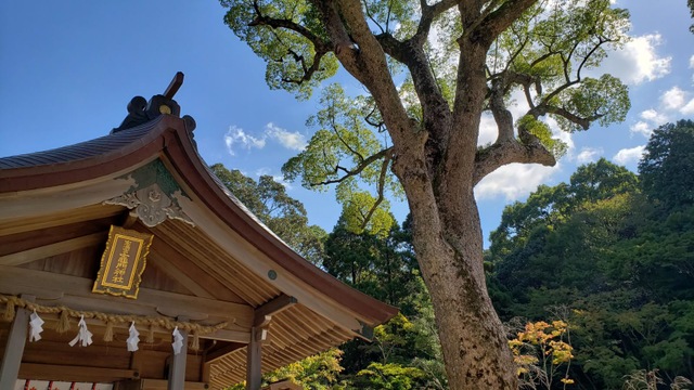 施設写真55