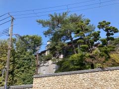 香雪美術館
