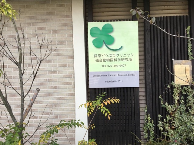 投稿写真5