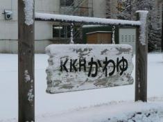 ＫＫＲかわゆ
