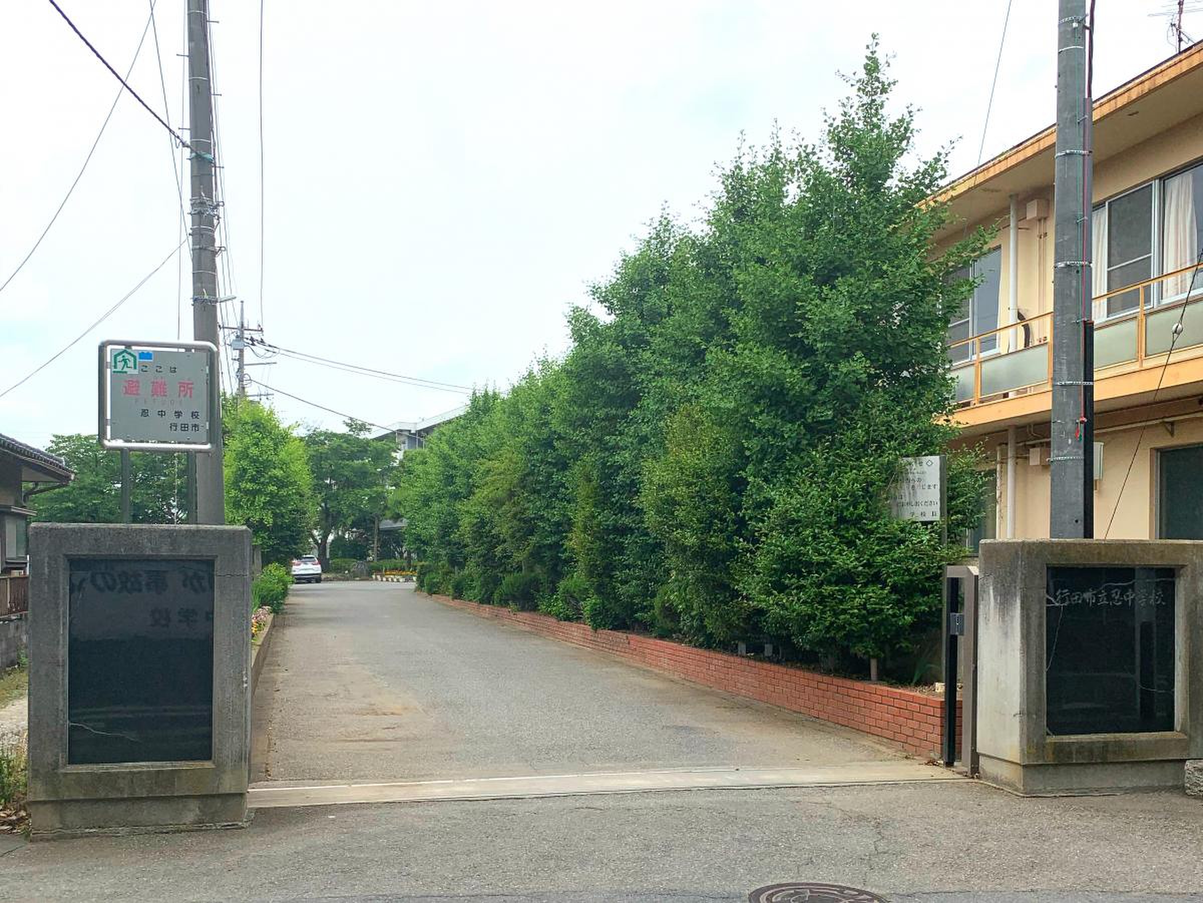 活動歴および当時の関連ビジュアル記録