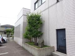笠松内科クリニック