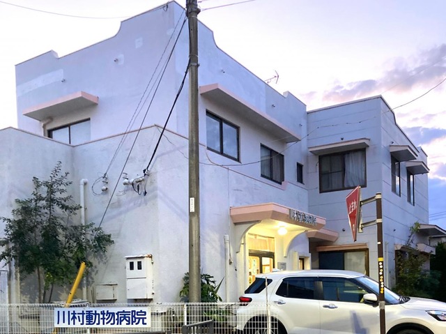 投稿写真2