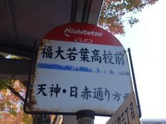 「福大若葉高校前」バス停留所