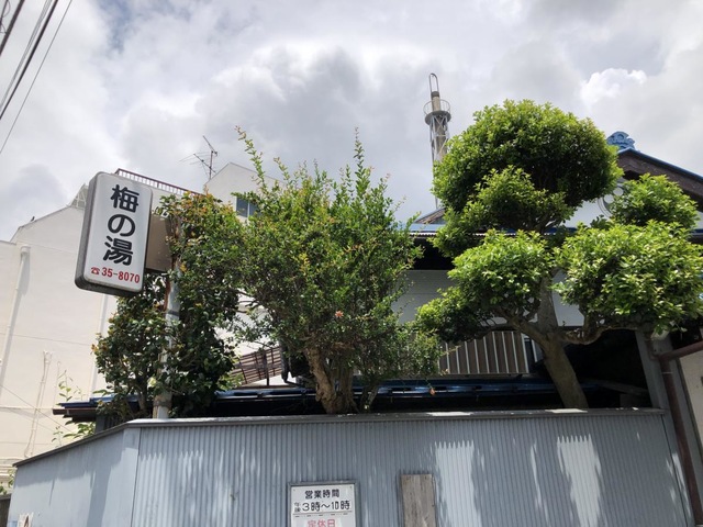 投稿写真1