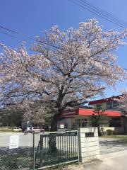九品寺附属平窪幼稚園