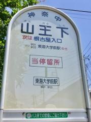 「山王下(秦野市)」バス停留所