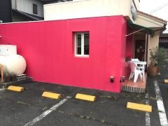 ＴＲＡＴＴＯＲＩＡ　ＳＩＣＩＬＩＡＮＡ