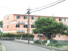 サントピア朝宮