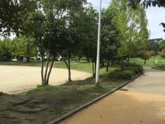 緑が丘公園