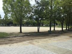 緑が丘公園