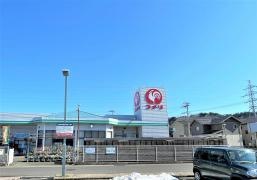 コメリハード＆グリーン　正法寺店