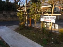 若葉動物病院