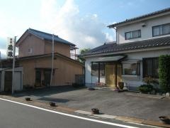 花政