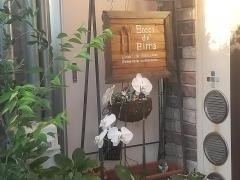 ボッチデビッラ