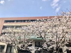 平成ドリーム館