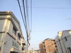 白井薬局
