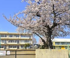 仁手小学校