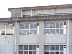 黒野小学校