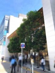 Ａｐｐｌｅ　Ｓｔｏｒｅ　福岡天神