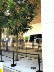 Ａｐｐｌｅ　Ｓｔｏｒｅ　福岡天神