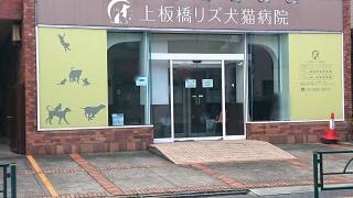上板橋リズ犬猫病院