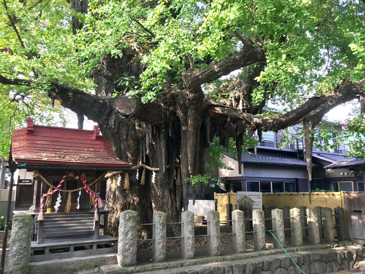 宮城野八幡神社