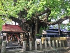 宮城野八幡神社