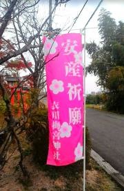 梅宮神社