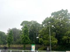 下茶屋公園