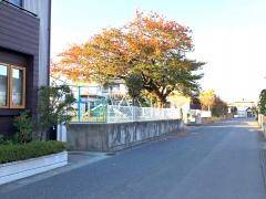 川岸保育園