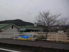 中川保育園