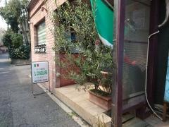 イル・コンソラーレ