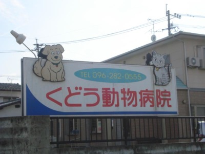 ドッグメディカル くどう動物病院