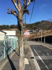 「滝団地北」バス停留所