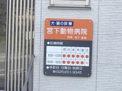 宮下動物病院