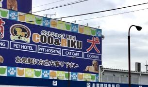 ペットショップＣｏｏ&ＲＩＫＵ　筑西店