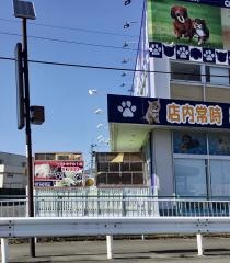 ペットショップＣｏｏ&ＲＩＫＵ　筑西店