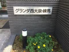 グランダ西大泉・練馬
