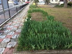 双葉公園