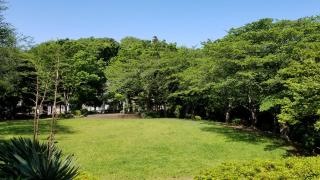 南志津公園