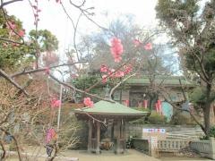うけらの神事