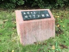 せりざわ緑地
