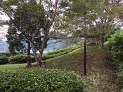 せりざわ緑地