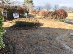 長者原公園