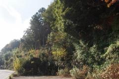 第4号藤川緑地