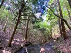 笠形山千ヶ峰県立自然公園